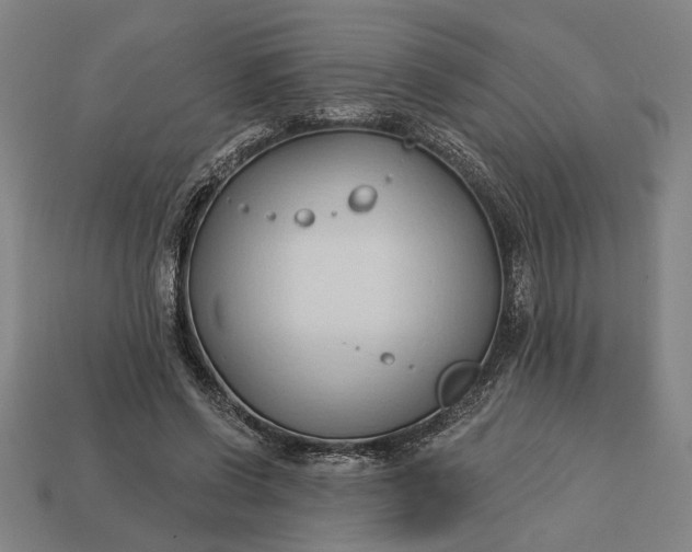 X0000113130542200909181711