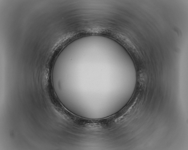 X0000113130544200909181711