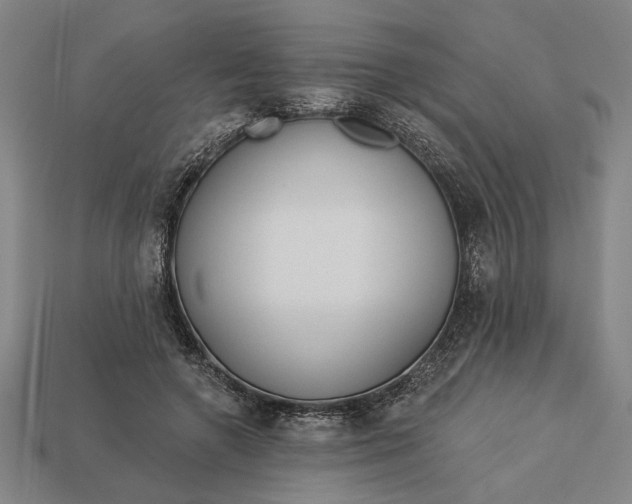 X0000113130546200909181711