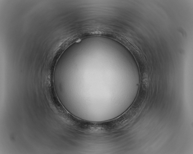 X0000113130547200909181711