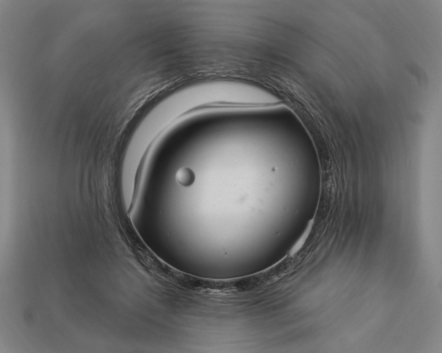 X0000113130548200909181711