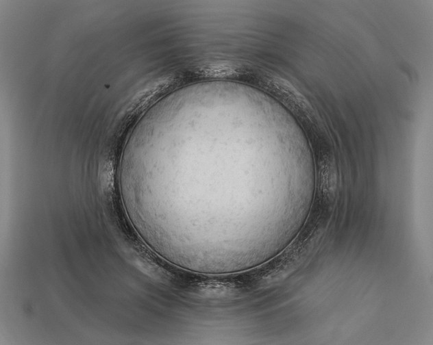 X0000113130549200909181711