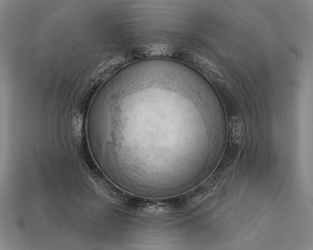 X0000113130550200909181711