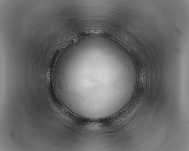 X0000113130551200909181711