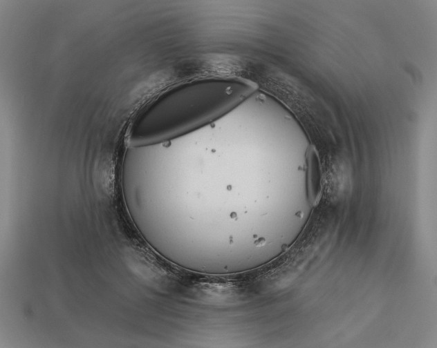 X0000113130552200909181711