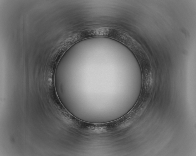 X0000113130553200909181711