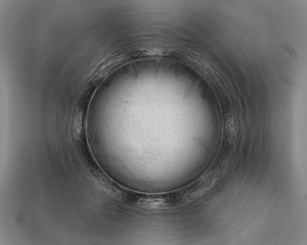 X0000113130554200909181711