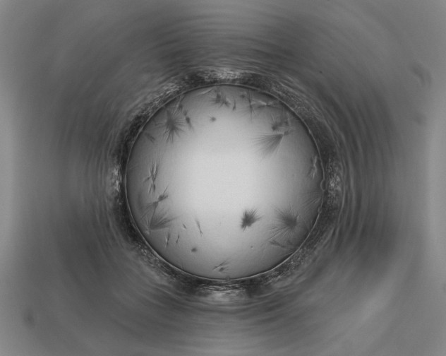 X0000113130555200909181711