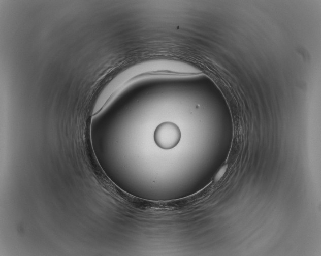 X0000113130556200909181711