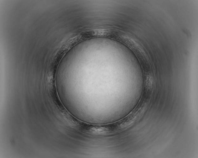 X0000113130557200909181711