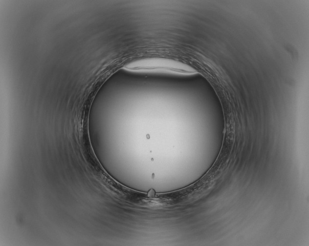 X0000113130558200909181711