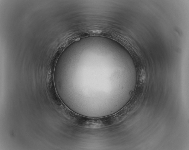 X0000113130559200909181711