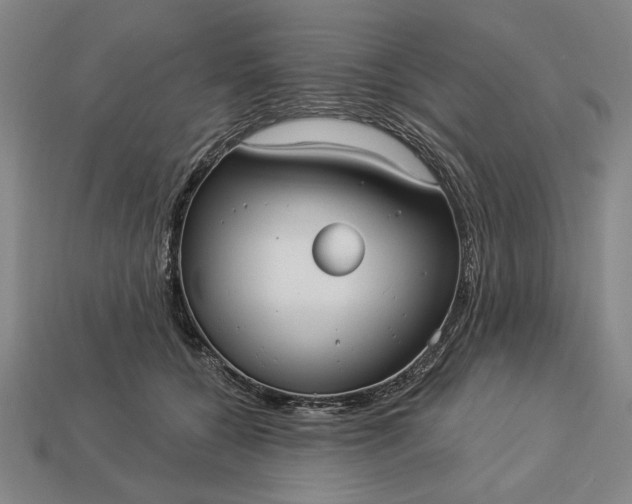 X0000113130560200909181711