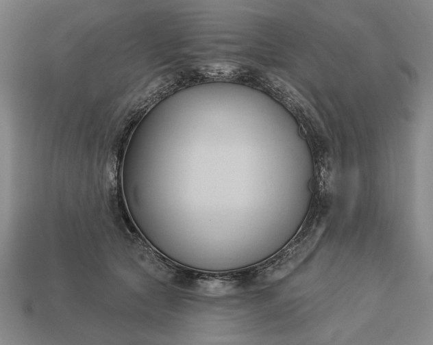 X0000113130561200909181711