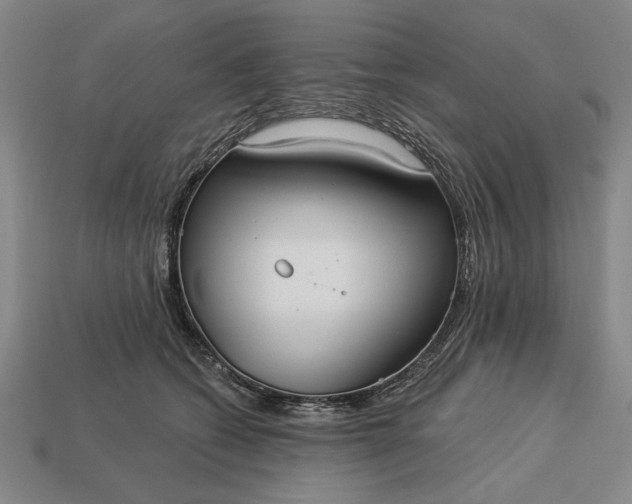 X0000113130562200909181711