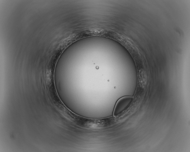 X0000113130563200909181711