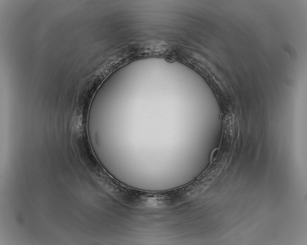 X0000113130564200909181712