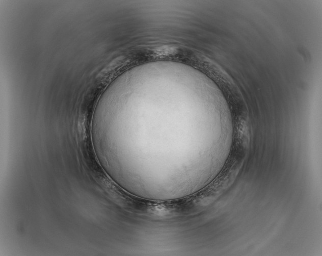 X0000113130565200909181712