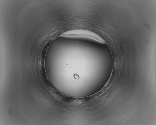 X0000113130566200909181712