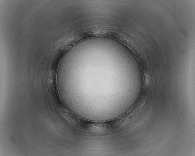 X0000113130567200909181712