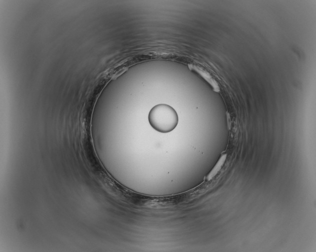 X0000113130568200909181712