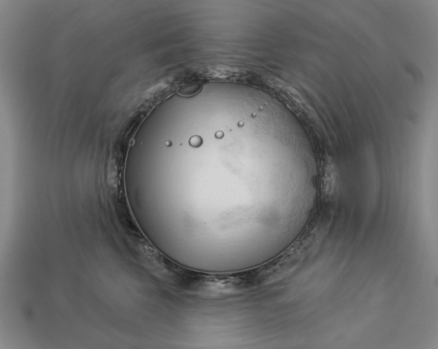 X0000113130569200909181712