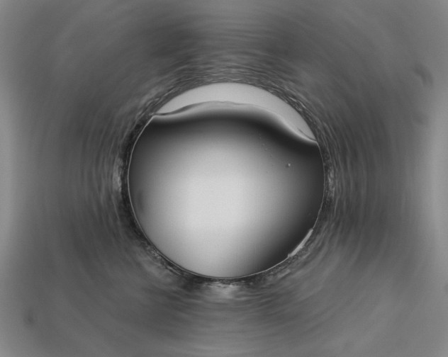 X0000113130570200909181712