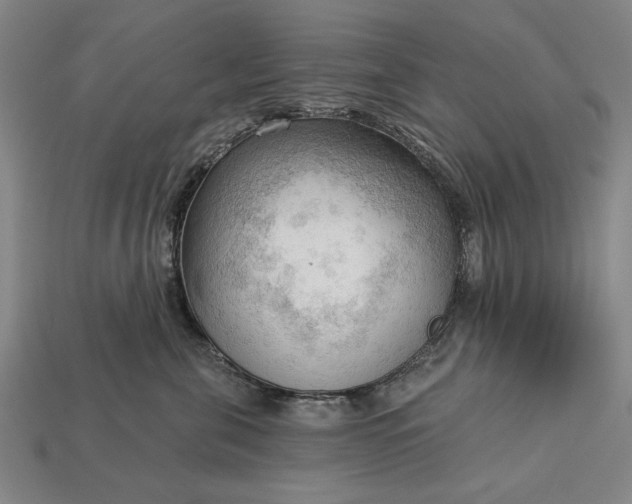 X0000113130571200909181712