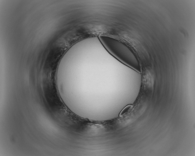 X0000113130572200909181712