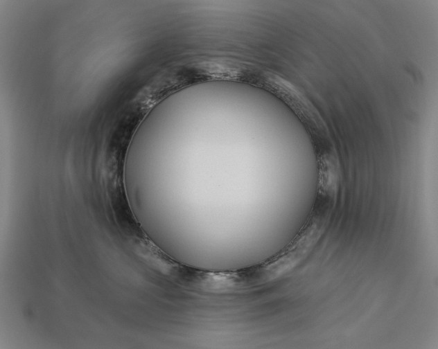 X0000113130573200909181712