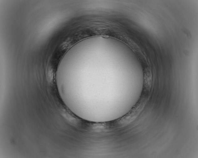 X0000113130574200909181712