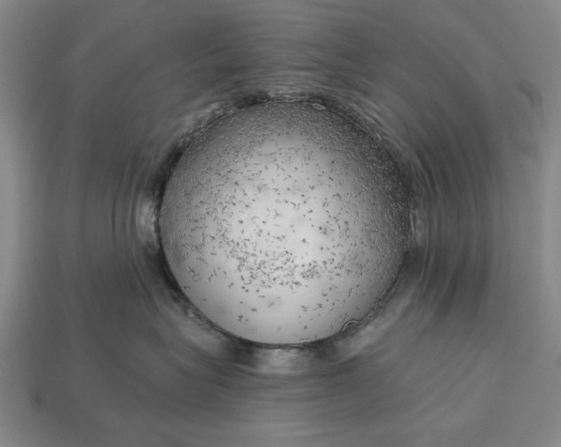 X0000113130575200909181712