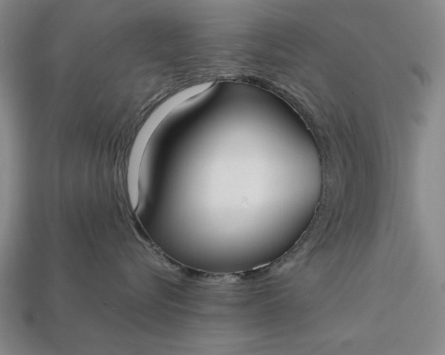 X0000113130576200909181712