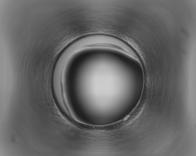 X0000113130577200909181711