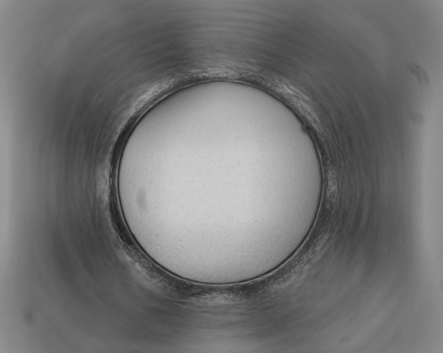 X0000113130578200909181711