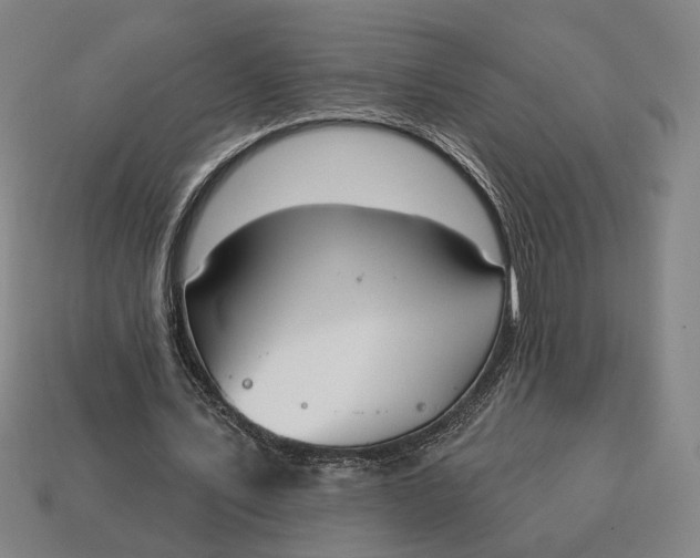 X0000113130579200909181711