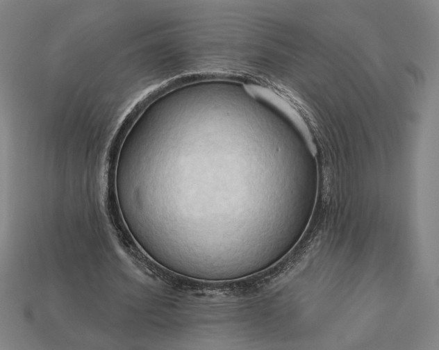 X0000113130580200909181711