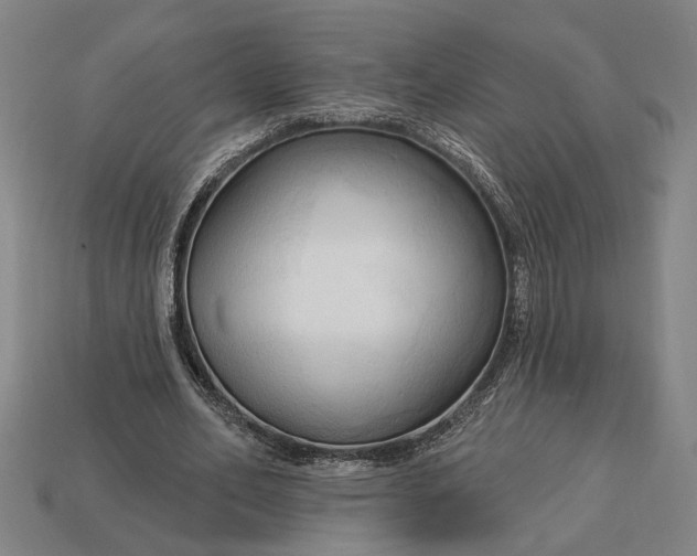 X0000113130582200909181711