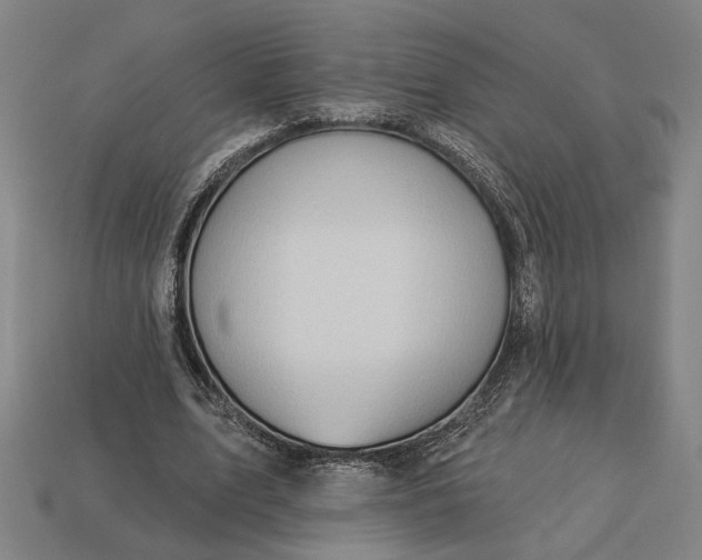 X0000113130583200909181711