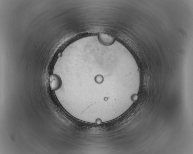 X0000113130584200909181711