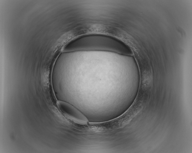 X0000113130585200909181711