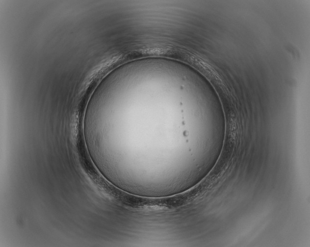 X0000113130586200909181711