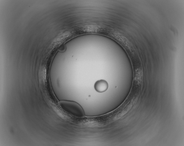 X0000113130589200909181711