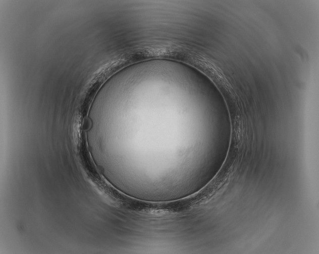 X0000113130590200909181711