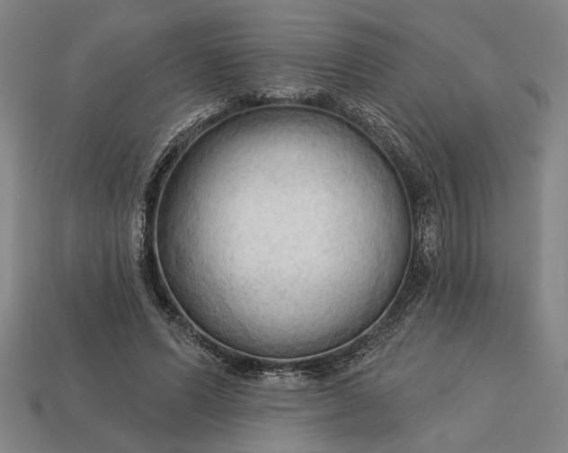 X0000113130591200909181711