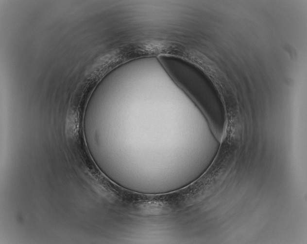 X0000113130593200909181711