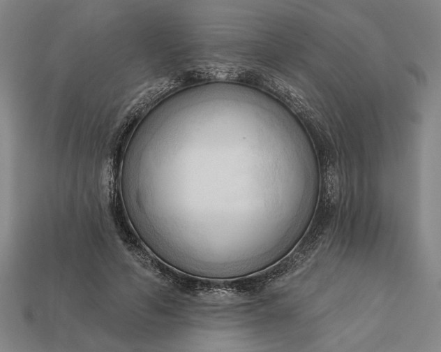 X0000113130594200909181711