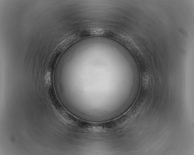 X0000113130598200909181711