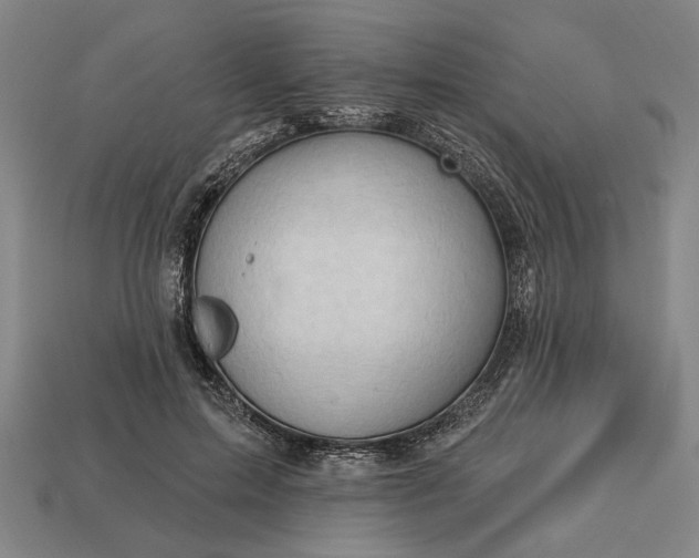 X0000113130599200909181711