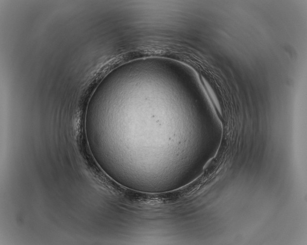 X0000113130600200909181711